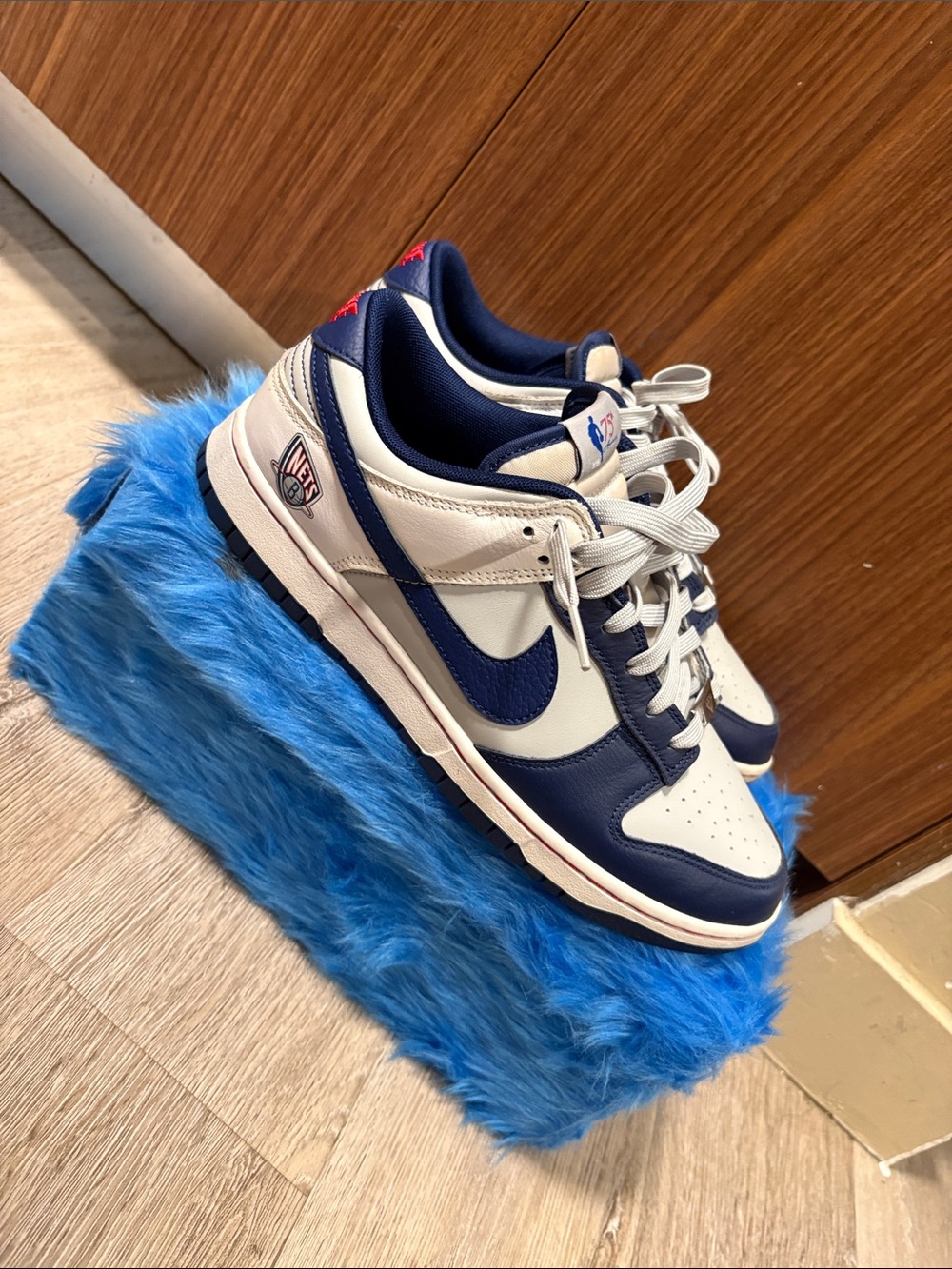 Nike Nets 75th Anniversary Air Jordan 1